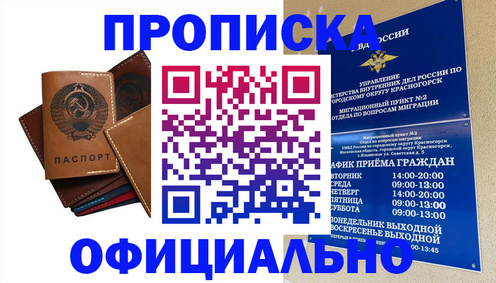 временная прописка в Навашино